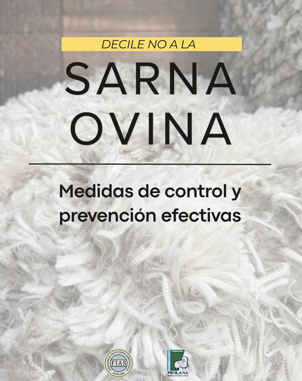 SARNA OVINA: 5 medidas clave para el control y la prevención en la majada