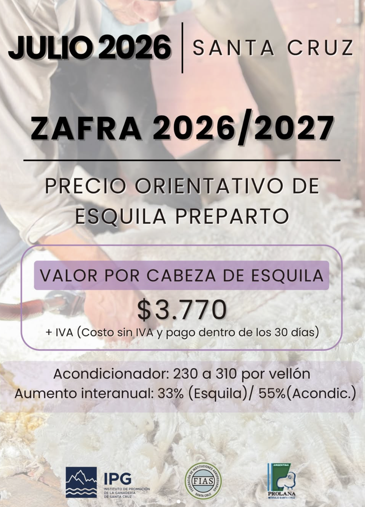 Precio indicativo de esquila preparto para la Zafra 2026/2027 en Santa Cruz